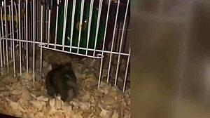 Sexy Man With Big Cock Gets Fucked Hard