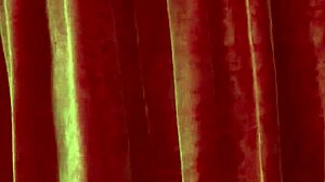 I clos the deal with Sarah Squirtz