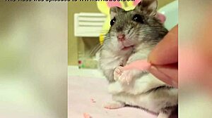 Sexy Man With Big Cock Gets Fucked Hard