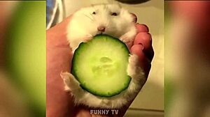 Sexy Man With Big Cock Gets Fucked Hard