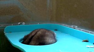 Sexy Man With Big Cock Gets Fucked Hard