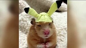 Sexy Man With Big Cock Gets Fucked Hard