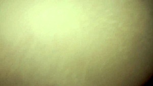 girlfriend beg for deep anal cum slut one