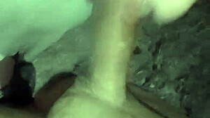 irreversible sin retorno update 97 horror porn demente submits slave feb 08 2025