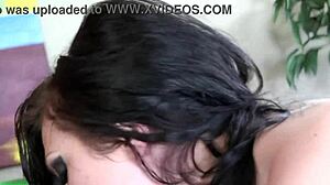 Pornstar Ava Rose in lingerie rides big cock, gets blowjob and cumshot on her big tits