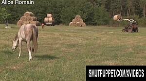 'Do You Like These Orally Fixated Milfs In Smut Puppet Compilation?'