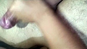 i sucked my brother-in-law's dick until he came