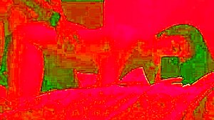 Passionate sex after birthday dinner