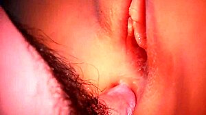 choose her ass its so nice