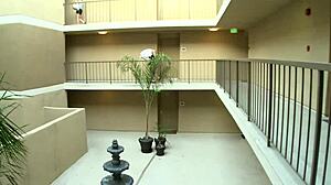 Hot pornstars lela star and brooke belle love to rub their tits together