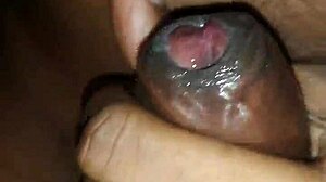 Horny Cock Cum In Close-Up