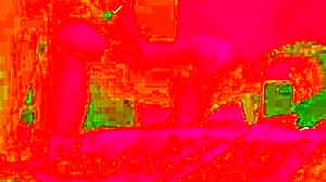 Passionate sex after birthday dinner