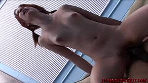 I watch phoebe pass porn 101 with an a plus, moaning on daddy's monster cock in missionary.