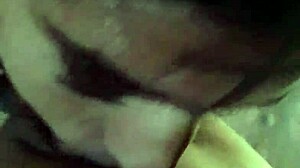 irreversible sin retorno update 97 horror porn demente submits slave feb 08 2025