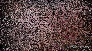 Yoga Doggy Style With Round Asses!