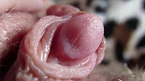 Big Clit Close-Up Orgasm