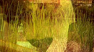 cytherea, you're getting fucked deep in the canoe with gaping and deepthroat.