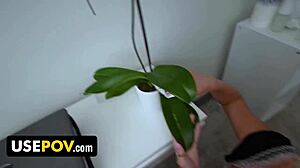 Freeuse Maid Slimthick Vic Sucks And Fucks Anytime