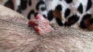 Big Clit Close-Up Orgasm