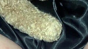 Slutty teen wants BBC penetration!