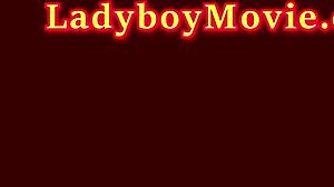 Transsexual Office Girl Tata Flashes Tits And Pee