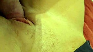 Amateur wife acts as cum dumpster for neighbor in cheating pov