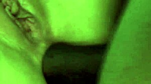 does donna bell love big black cocks in her ass?