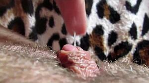 Big Clit Close-Up Orgasm