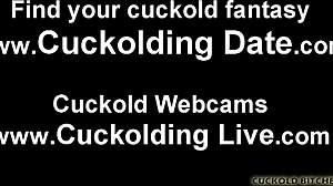Hey loser, you'll stay virgin while I dominate husband