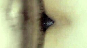 Latina Wife Bends For Anal