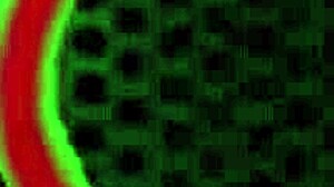 Brunette teen 18+ loves fucking around with stepdads friends and taking facials