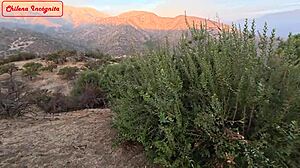 Terreno vendido a cambio de trailer