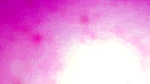 What An Ass Exchange!