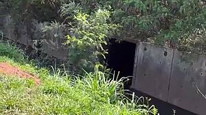 i asked the highway prostitute for a fuck, she took me to the woods for free!