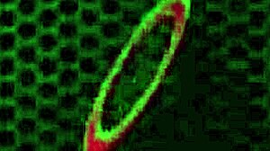 Sultry redhead Penny Pax teases with deepthroat and gaping masturbation