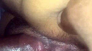 Redbone Reverse Cowgirl