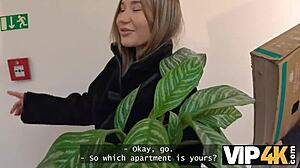 shy amalia davis gone wild