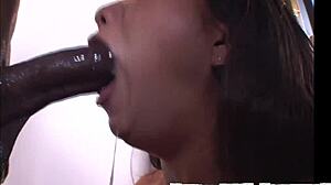 Worship this big black cock?