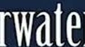 Aneta Shows Big Tits In Purple Dress Underwater In Pool