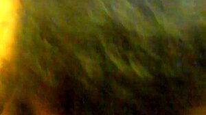 Sucking Hozi 2: Intense Blowjob Action With Cumshots And Deepthroat!