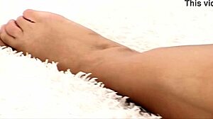 Wet Bush Introduction