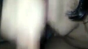 Brazilian Brunette Sucks To The Base For Cum In Mouth!