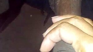 Mamada Rápida Latina