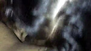 Nerdy Blowjob Encounter