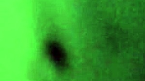 Neighbor Intriguing Sounds