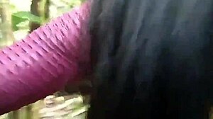 Nature Walk Adventure