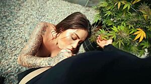 Outdoor Blowjob Cumshot