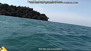 Wild Beach Encounters