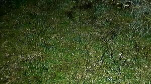 Offering Pussy After Cigarette