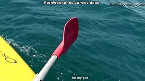 Wild Beach Encounters